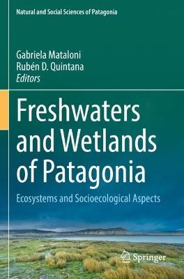 Freshwaters and Wetlands of Patagonia: Ecosystems and Socioecological Aspects - cover