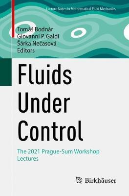 Fluids Under Control: The 2021 Prague-Sum Workshop Lectures - cover
