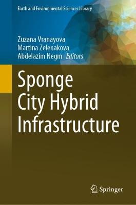 Sponge City Hybrid Infrastructure - cover