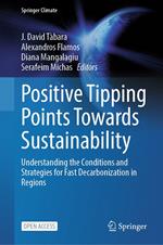 Positive Tipping Points Towards Sustainability