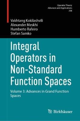 Integral Operators in Non-Standard Function Spaces: Volume 3: Advances in Grand Function Spaces - Vakhtang Kokilashvili,Alexander Meskhi,Humberto Rafeiro - cover