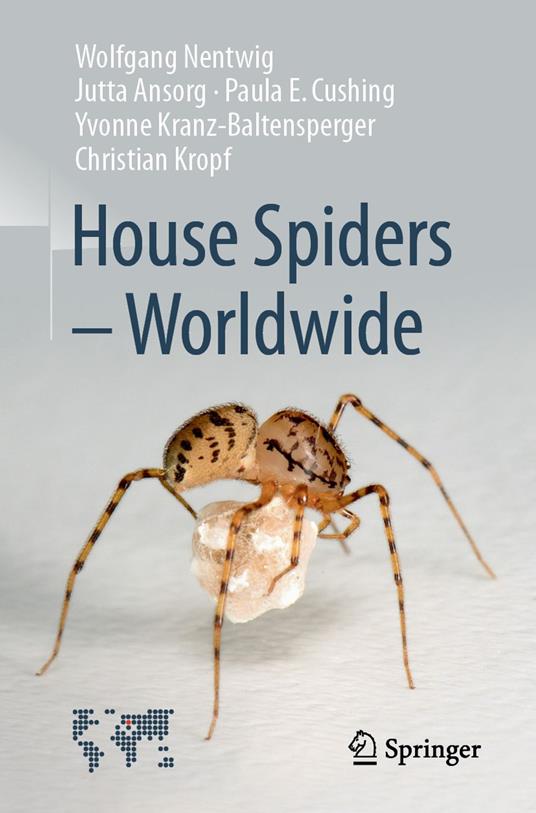 House Spiders - Worldwide