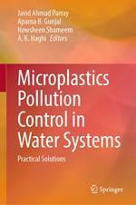 Microplastics Pollution Control in Water Systems