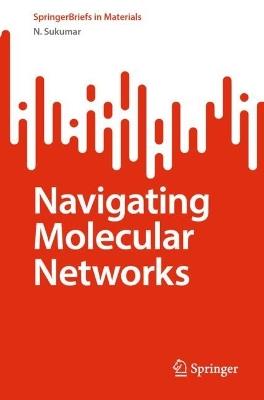 Navigating Molecular Networks - N. Sukumar - cover