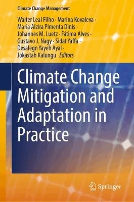 Climate Change Mitigation and Adaptation in Practice - cover