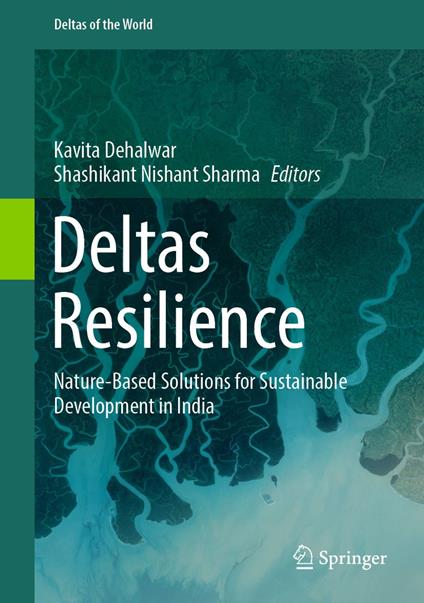 Deltas Resilience