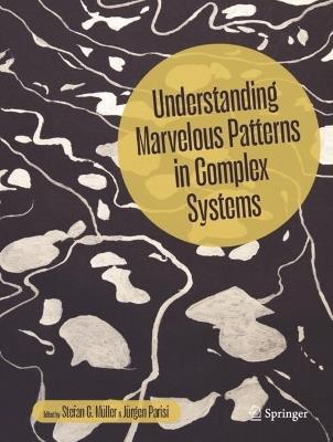 Understanding Marvelous Patterns in Complex Systems - cover
