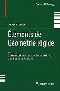 Éléments de Géométrie Rigide: Volume I. Construction et Étude Géométrique des Espaces Rigides - Ahmed Abbes - cover