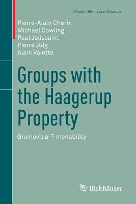 Groups with the Haagerup Property: Gromov’s a-T-menability - Pierre-Alain Cherix,Michael Cowling,Paul Jolissaint - cover