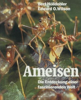 Ameisen: Die Entdeckung einer faszinierenden Welt - Bert Hölldobler,Edward O. Wilson - cover