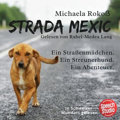 Strada Mexic