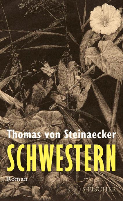 Schwestern