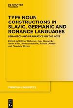 Type Noun Constructions in Slavic, Germanic and Romance Languages: Semantics and Pragmatics on the Move