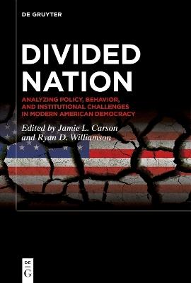 Divided Nation: Analyzing Policy, Behavior, and Institutional Challenges in Modern American Democracy - cover