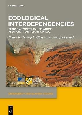 Ecological Interdependencies: Strong Asymmetrical Relations and More-than-Human Worlds - cover