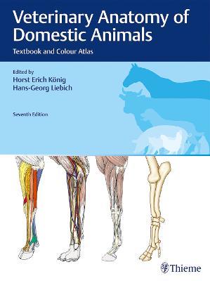 Veterinary Anatomy of Domestic Animals: Textbook and Colour Atlas - cover