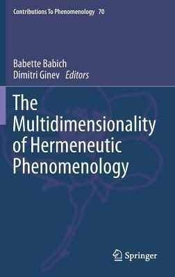 The Multidimensionality of Hermeneutic Phenomenology - cover