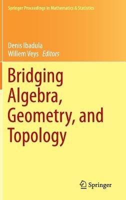 Bridging Algebra, Geometry, and Topology - cover