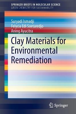 Clay Materials for Environmental Remediation - Suryadi Ismadji,Felycia Edi Soetaredjo,Aning Ayucitra - cover