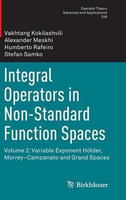 Integral Operators in Non-Standard Function Spaces: Volume 2: Variable Exponent Hölder, Morrey–Campanato and Grand Spaces - Vakhtang Kokilashvili,Alexander Meskhi,Humberto Rafeiro - cover