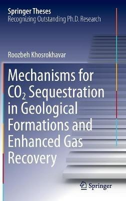 Mechanisms for CO2 Sequestration in Geological Formations and Enhanced Gas Recovery - Roozbeh Khosrokhavar - cover