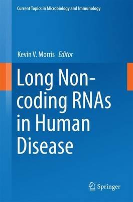 Long Non-coding RNAs in Human Disease - cover
