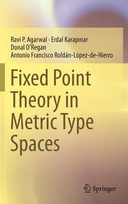 Fixed Point Theory in Metric Type Spaces - Ravi P. Agarwal,Erdal KARAPINAR,Donal O’Regan - cover
