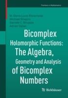 Bicomplex Holomorphic Functions: The Algebra, Geometry and Analysis of Bicomplex Numbers - M. Elena Luna-Elizarrarás,Michael Shapiro,Daniele C. Struppa - cover