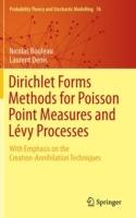 Dirichlet Forms Methods for Poisson Point Measures and Lévy Processes: With Emphasis on the Creation-Annihilation Techniques - Nicolas Bouleau,Laurent Denis - cover