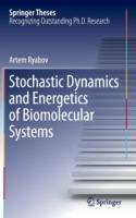 Stochastic Dynamics and Energetics of Biomolecular Systems