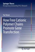 How Free Cationic Polymer Chains Promote Gene Transfection - Yue Yanan - cover