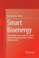 Smart Bioenergy: Technologies and concepts for a more flexible bioenergy provision in future energy systems - cover
