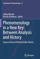 Phenomenology in a New Key: Between Analysis and History: Essays in Honor of Richard Cobb-Stevens - cover