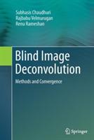 Blind Image Deconvolution: Methods and Convergence - Subhasis Chaudhuri,Rajbabu Velmurugan,Renu Rameshan - cover