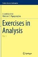 Exercises in Analysis: Part 1 - Leszek Gasinksi,Nikolaos S. Papageorgiou - cover