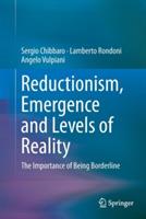 Reductionism, Emergence and Levels of Reality: The Importance of Being Borderline - Sergio Chibbaro,Lamberto Rondoni,Angelo Vulpiani - cover