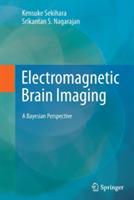 Electromagnetic Brain Imaging: A Bayesian Perspective - Kensuke Sekihara,Srikantan S. Nagarajan - cover