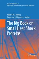 The Big Book on Small Heat Shock Proteins - cover