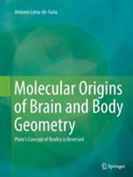Molecular Origins of Brain and Body Geometry: Plato's Concept of Reality is Reversed