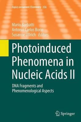 Photoinduced Phenomena in Nucleic Acids II: DNA Fragments and Phenomenological Aspects - cover