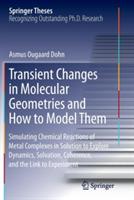 Transient Changes in Molecular Geometries and How to Model Them: Simulating Chemical Reactions of Metal Complexes in Solution to Explore   Dynamics, Solvation, Coherence, and the Link to Experiment
