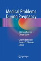 Medical Problems During Pregnancy: A Comprehensive Clinical Guide - cover