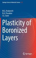 Plasticity of Boronized Layers - M. G. Krukovich,B. A Prusakov,I. G Sizov - cover