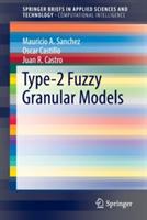Type-2 Fuzzy Granular Models - Mauricio A. Sanchez,Oscar Castillo,Juan R. Castro - cover