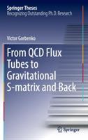 From QCD Flux Tubes to Gravitational S-matrix and Back - Victor Gorbenko - cover