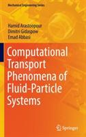 Computational Transport Phenomena of Fluid-Particle Systems - Hamid Arastoopour,Dimitri Gidaspow,Emad Abbasi - cover