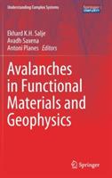 Avalanches in Functional Materials and Geophysics - cover