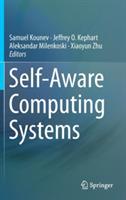 Self-Aware Computing Systems