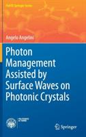 Photon Management Assisted by Surface Waves on Photonic Crystals - Angelo Angelini - cover