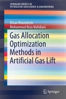 Gas Allocation Optimization Methods in Artificial Gas Lift - Ehsan Khamehchi,Mohammad Reza Mahdiani - cover